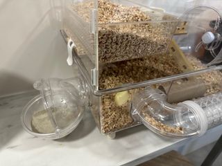 Jaula/Terrario Hámster Transparente