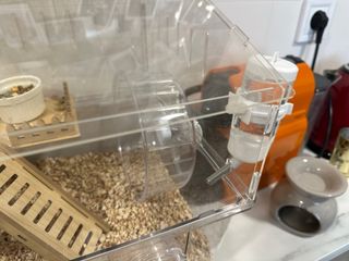 Jaula/Terrario Hámster Transparente