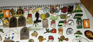 Colección de pines de parques naturales