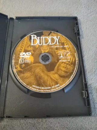 Película Buddy DVD