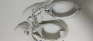 Tenis Calvin Klein Multicolor/Blanco