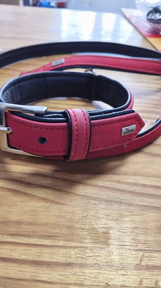 Collar y Correa Cuero Rojo Hunter