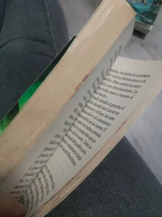 El Príncipe de la Niebla (Spanish Edition)