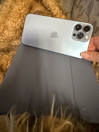 iPhone 13 Pro Max Apple