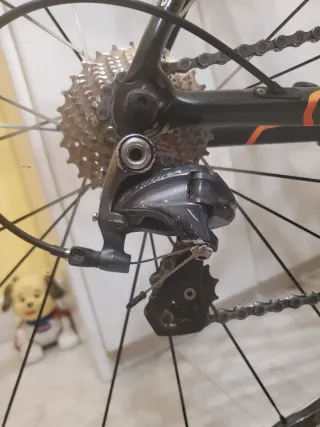 Bici carretera Macario Prothos Ultegra