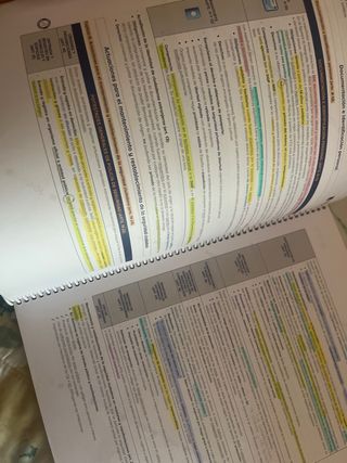 Libro depol resumen policía nacional