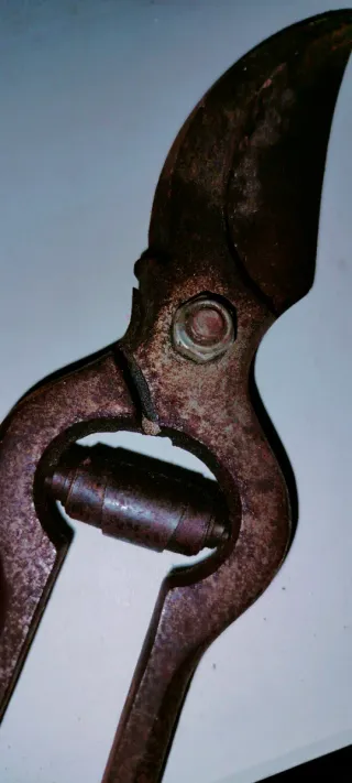 Forbici da potatura vintage