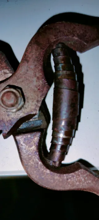 Forbici da potatura vintage