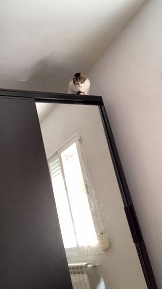 Armario Ikea 2m alto x 1.80m ancho