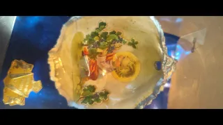 Concha Bautismo Religiosa Niño Jesús