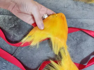 Orelhas e cauda de gato amarelo cosplay