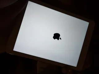 iPad Air Apple Dorado/Plateado y en buen estado