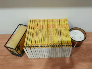 Geronimo Stilton - Lote de 23 libros