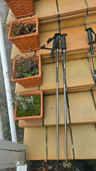 Lote 3 Pares Bastones Esquí LOOK / SALOM