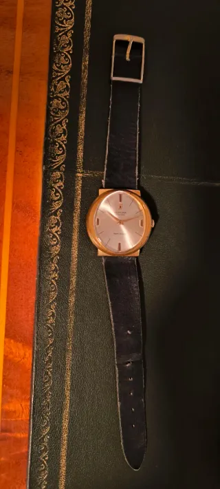 2 Relojes:Festina 17 Rubis Antichoc y Andy Ance 15