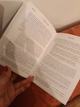 Código Penal y ley Penal del Menor Incluye el A...