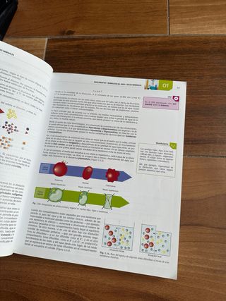 Biología 2.º Bachillerato. Método @pruebas