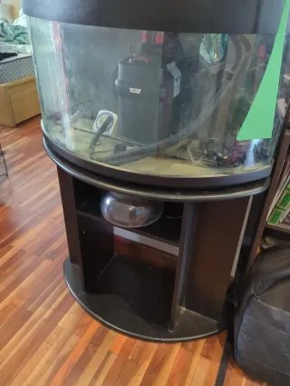 Acuario curvo con iluminación LED y mueble.