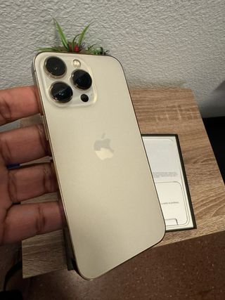 iPhone 13 Pro 256GB Dorado