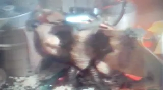 VHS Gremlins (Español)