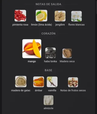 Perfume Odyssey Go Mango Eau de Parfum