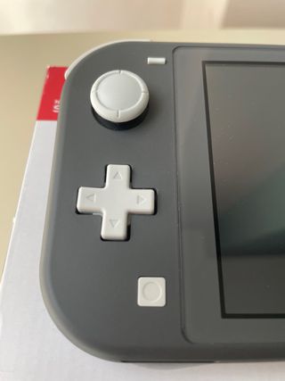Nintendo Switch Lite Gris