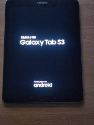 Samsung Tab S3 SM-T825 Plata