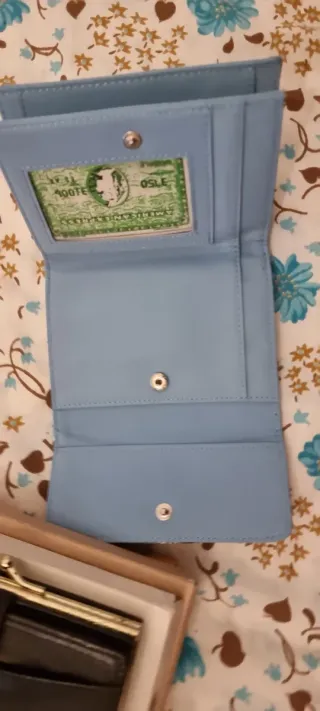 Portafogli azzurro con nastro decorativo da donna