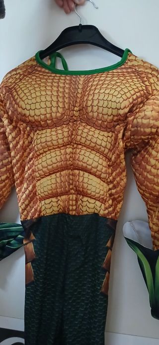 Disfraz Aquaman