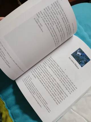 Leyendas y rimas / Legends and Rhymes (Literatu...