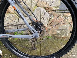 Bicicleta MTB Focus Whistler Sport Series