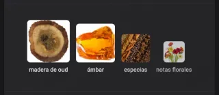 Supreme Amber Perfume Concentrado 20ML