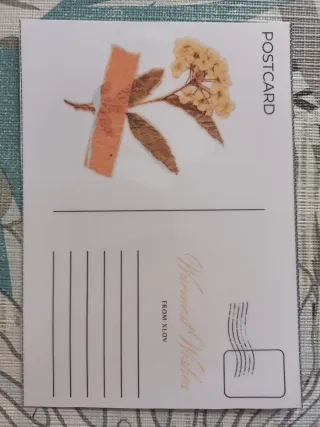 XLOV & Zerobaseone Photocard y Postcard