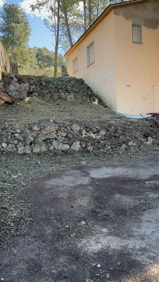 Limpieza de parcela, tala de árboles