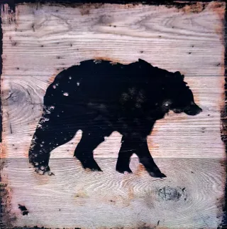 Set 3 Cuadros Decorativos Madera