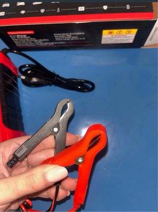 Cargador Batería Inteligente 12V RJ Tianye