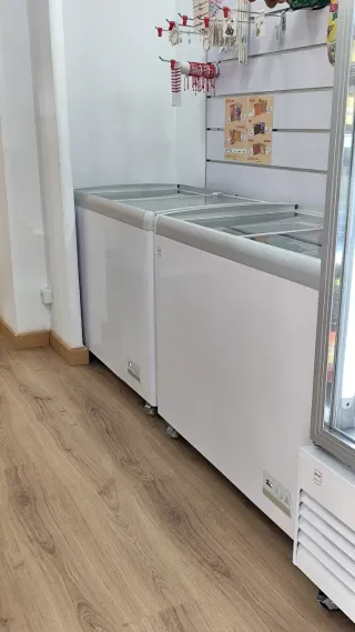 Frigoríficos y Congeladores para Negocio