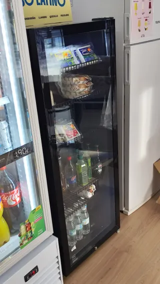 Frigoríficos y Congeladores para Negocio