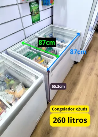 Frigoríficos y Congeladores para Negocio