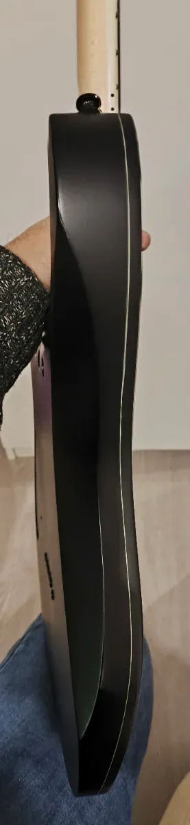 Guitarra Eléctrica Ibanez RG421EX-BKF Negra