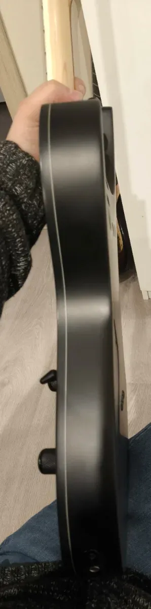 Guitarra Eléctrica Ibanez RG421EX-BKF Negra