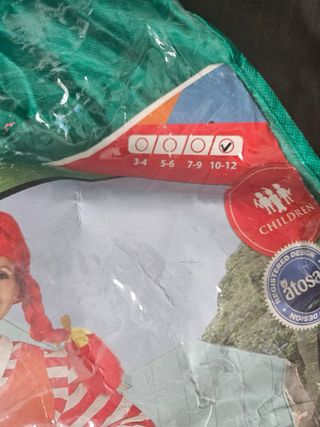 Disfraz de Carnaval Niña talla 10-12