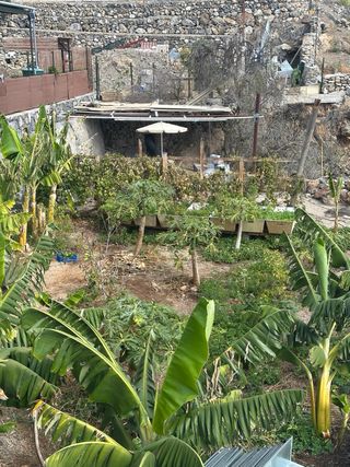 Terreno rústico Arona