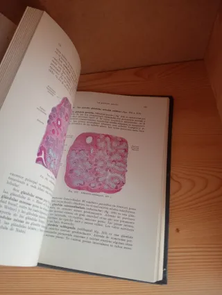 Compendio de histología humana
