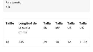 Botas y esquís de esquí