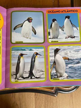 Mi primer gran libro del océano