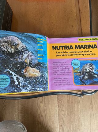 Mi primer gran libro del océano