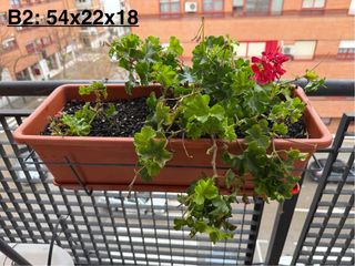 7 Jardineras + Platos + Soportes + Plantas