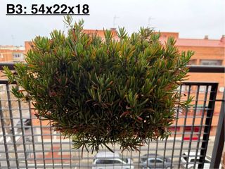 7 Jardineras + Platos + Soportes + Plantas