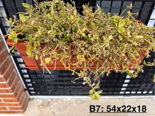 7 Jardineras + Platos + Soportes + Plantas